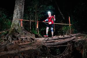 BIB: 
                            <button type="button" onclick="openModal(27417720)" class="btn btn-primary btn-sm float-right btn-popup" data-toggle="modal" data-target=".modal-high-quality">
                        <i class="fas fa-shopping-cart"></i> Add to Cart
                    </button>
                                            <button type="button" onclick="isThisMe(27417720, true)" class="btn btn-success btn-sm float-right btn-popup btn-isme hidden" data-toggle="tooltip" data-placement="bottom" title="นี่คือรูปของคุณใช่ไหม คลิกที่นี่เพื่อเอาเข้าอัลบั้ม">
                        <i class="fas fa-plus"></i> Add to album
                    </button>
                    <button type="button" onclick="isThisMe(27417720, false)" class="btn btn-warning btn-sm float-right btn-popup btn-isnotme hidden">
                        <i class="fas fa-ban"></i> Remove from album
                    </button>